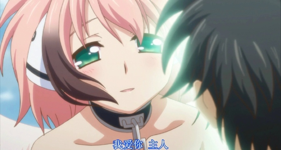 如果有一天一個從天而降女孩叫你主人