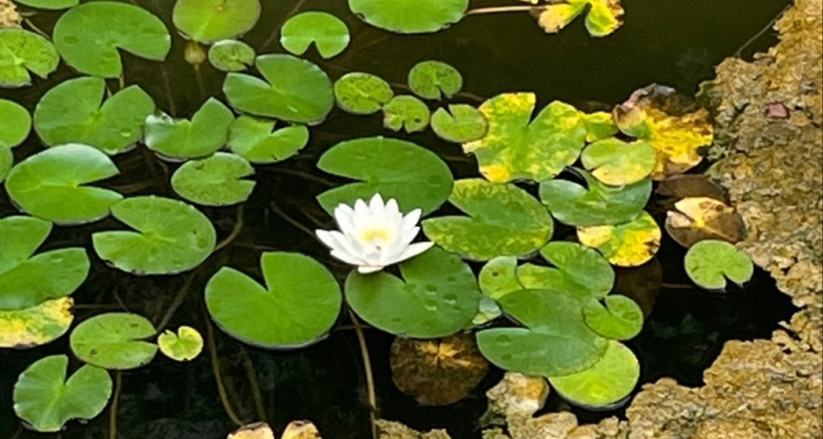 教培行业求生指南