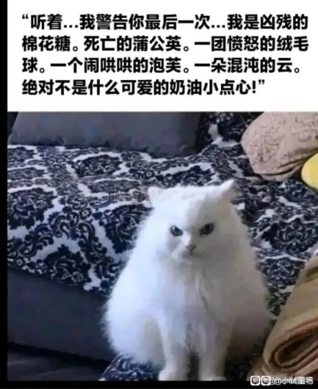 【沙雕日常】上班摸魚弔圖～超級多貓貓-第50張
