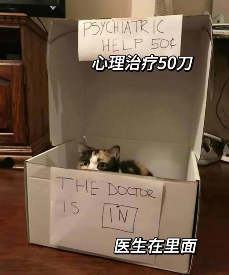 【沙雕日常】上班摸魚弔圖～超級多貓貓-第66張