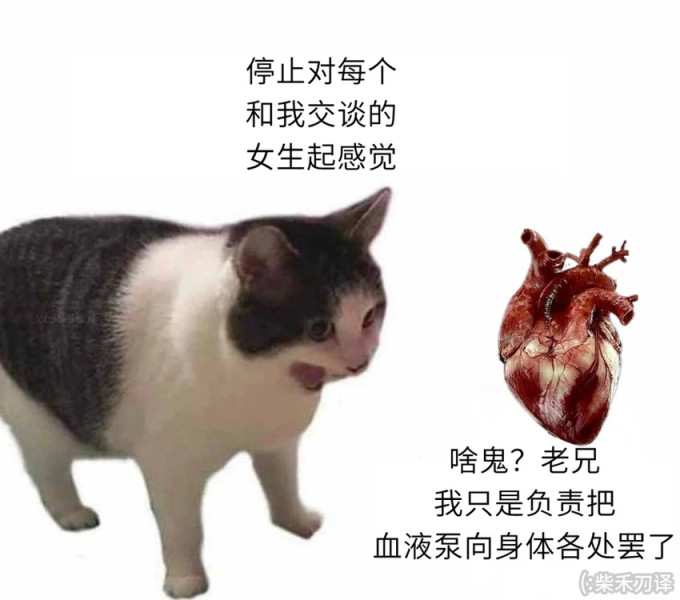【沙雕日常】上班摸魚弔圖～超級多貓貓-第3張