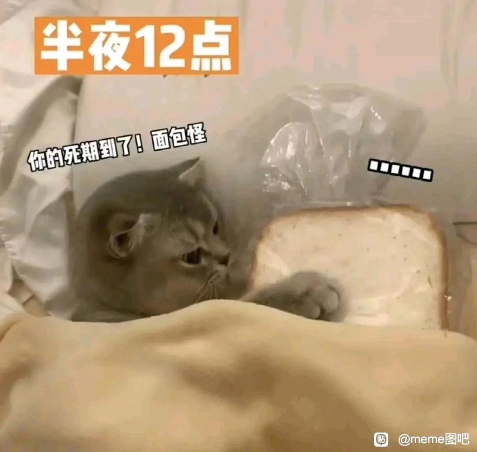 【沙雕日常】上班摸魚弔圖～超級多貓貓-第62張