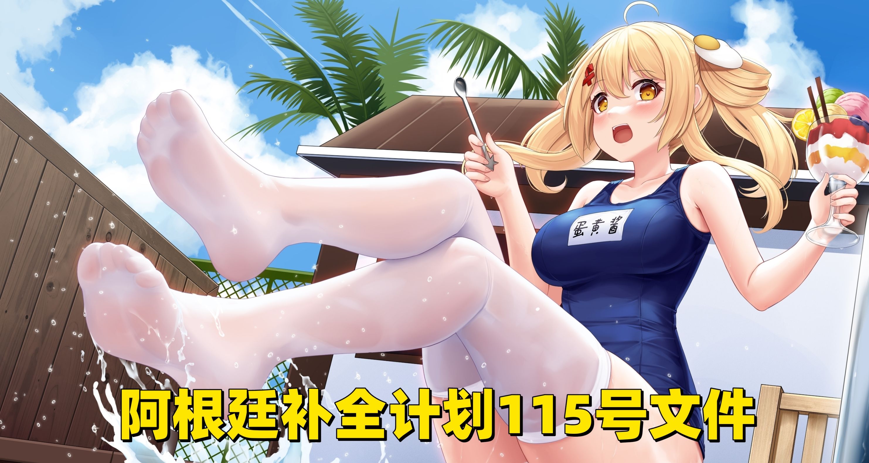 阿根廷補全計劃115號文件