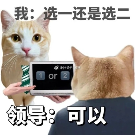 【沙雕日常】上班摸魚弔圖～超級多貓貓-第96張