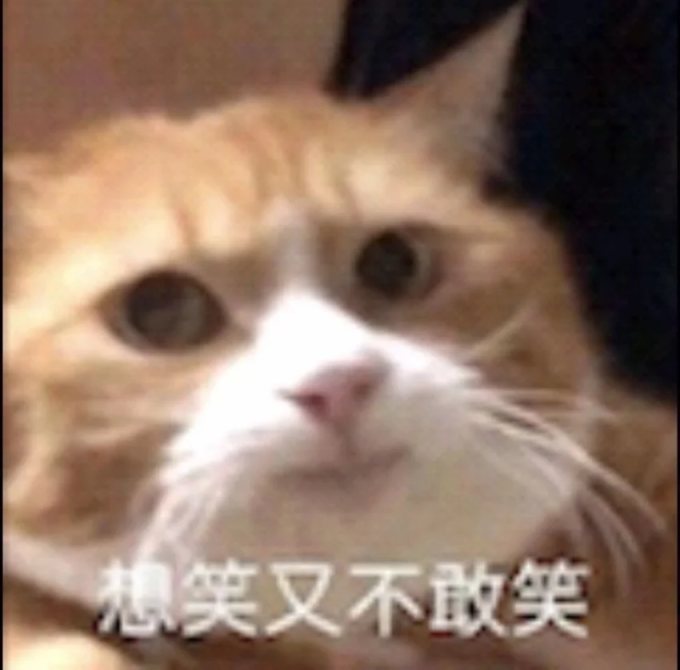 【沙雕日常】上班摸魚弔圖～超級多貓貓-第77張