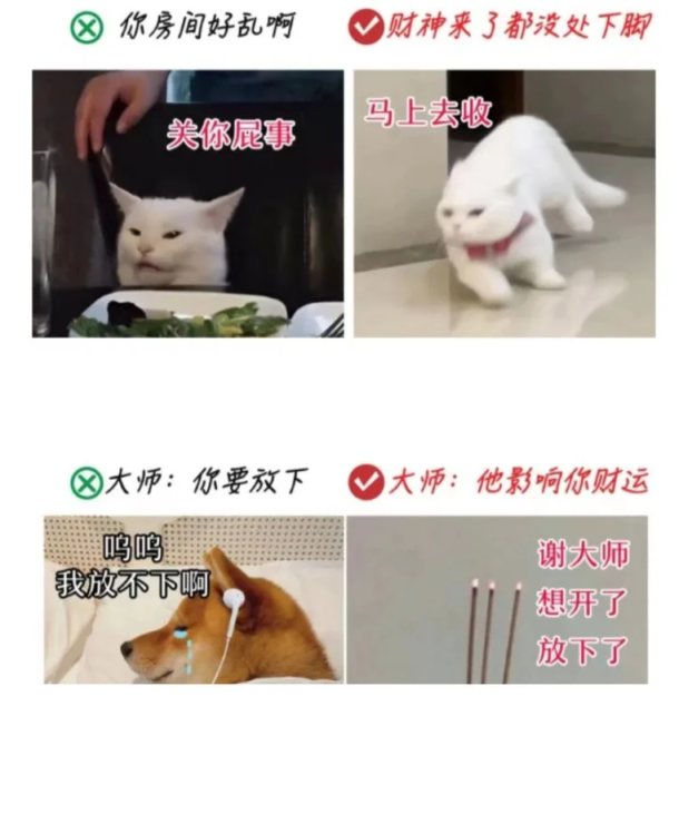 【沙雕日常】上班摸魚弔圖～超級多貓貓-第21張