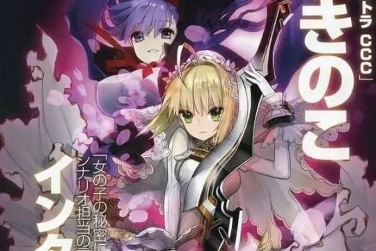 【Fate/Samurai Remnant】fate全系列大合集（沒有的歡迎補充）-第78張