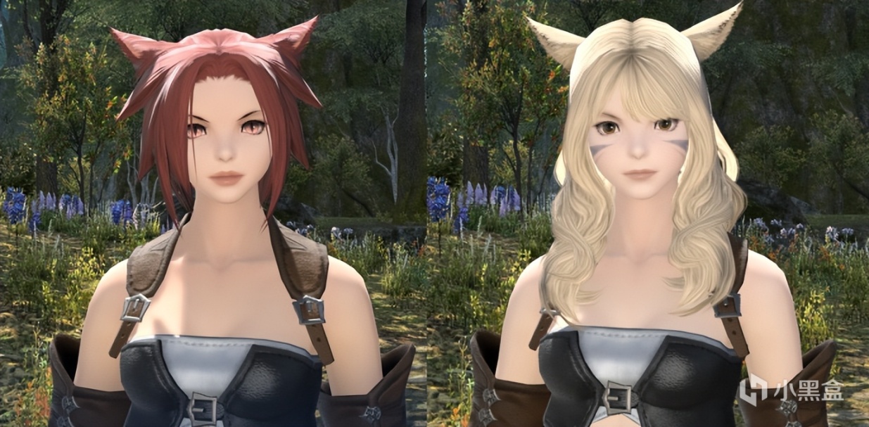 【最終幻想14】貓男or貓娘什麼臉型才是最棒的？FF14貓魅族臉型推薦-第4張