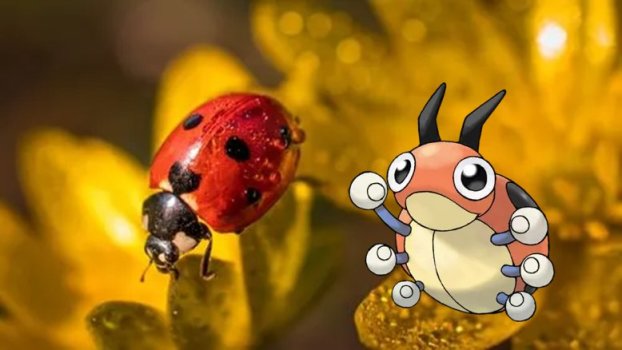 【PC游戏】pokemon艺术赏析：从家门虫的形象变化看宝可梦设计发展!-第4张