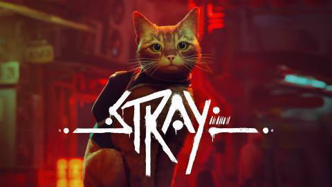 【PC游戏】当呆萌猫猫闯入赛博朋克世界——《Stray》-第2张