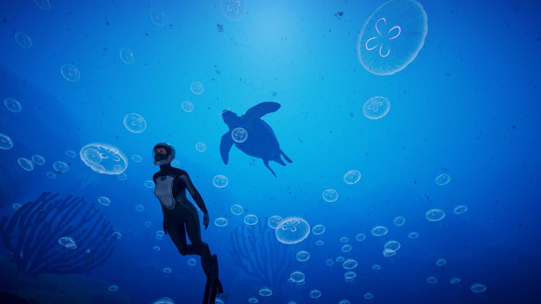 《深海超越》我们的美丽的海洋动物们-第3张