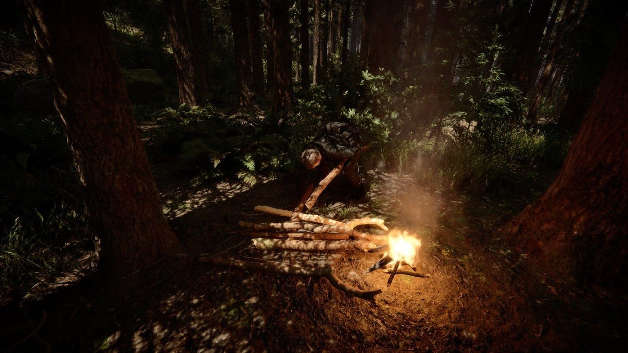 【PC游戏】折扣8折！《森林之子》迎来史低！森林系列游戏迎来促销！-第3张