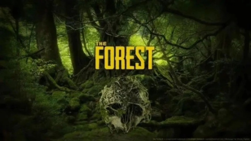 【PC游戏】The forest-第0张