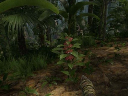【PC游戏】萌新如何在亚马逊雨林存活下去-第44张