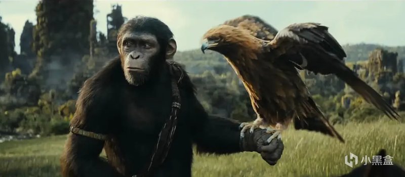 【影視動漫】2024年科幻大片《猩球崛起4》，凱撒兒子登場！講述N年後的故事？
