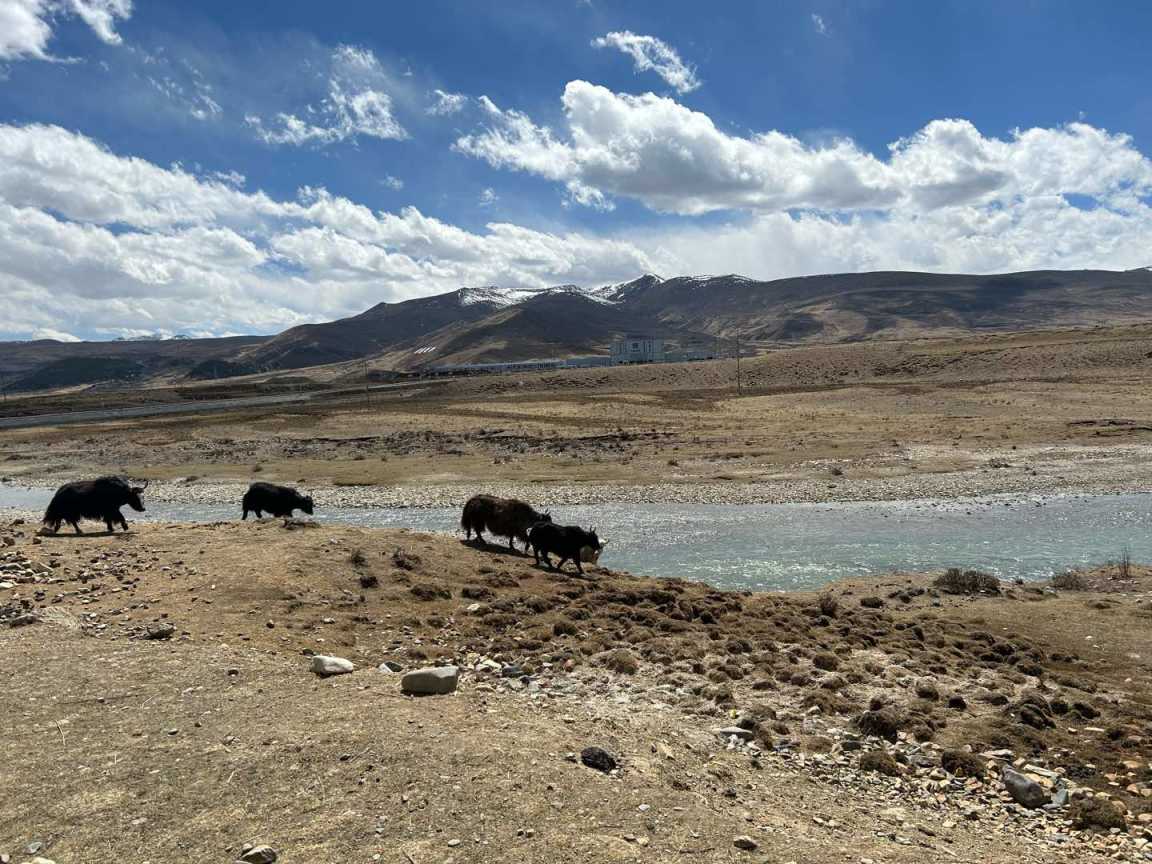 徒步： 是我内心虚无主义中最后的浪漫