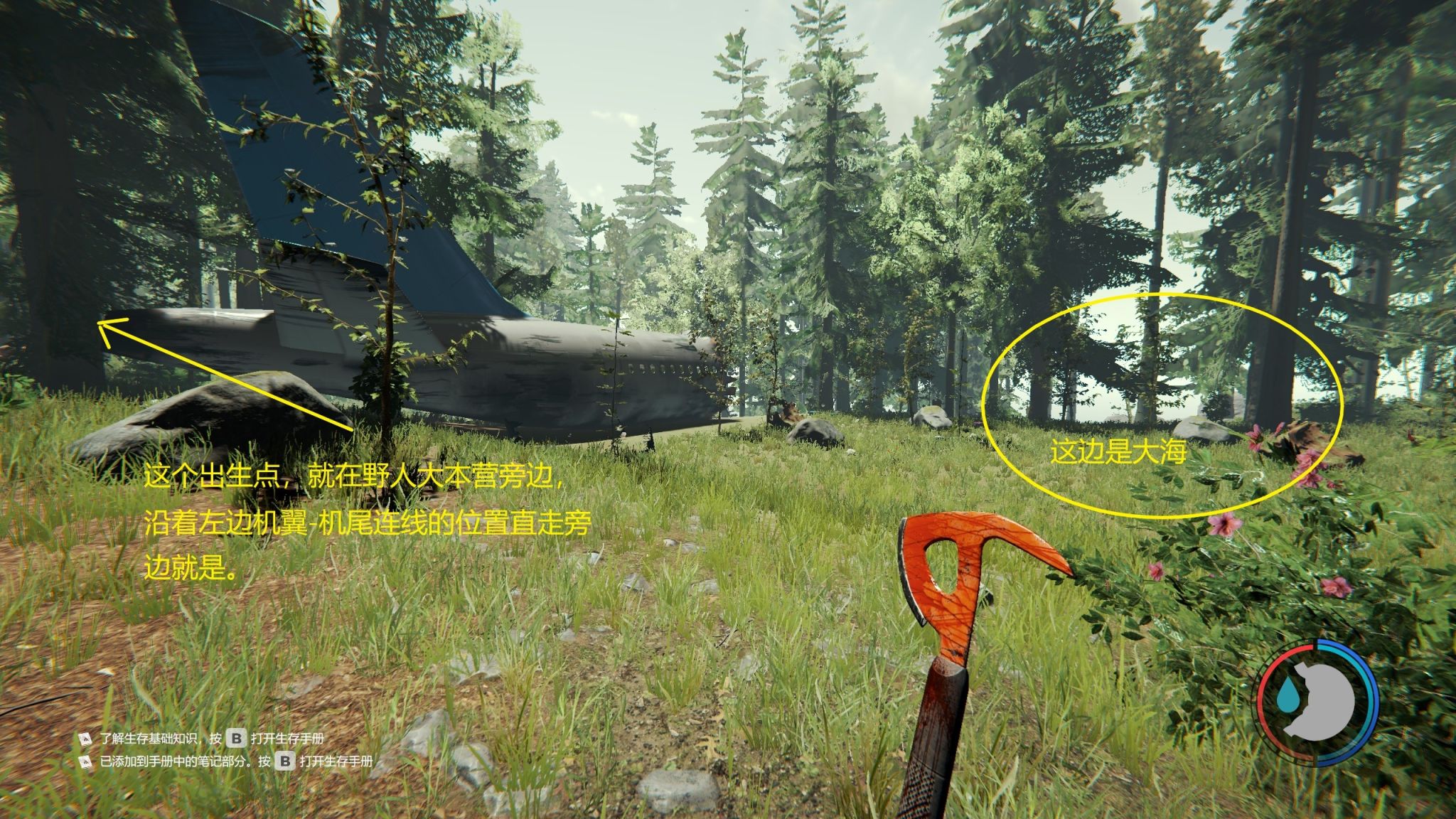 森林forest初见游戏攻略，萌新如何获得游戏中的手绘地图？-第9张