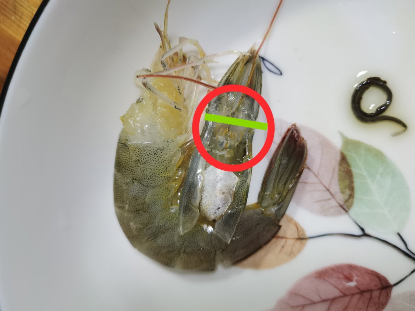 【小饭盒】简简单单有手就行的菠菜虾汤面-第5张