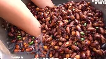 云南美食之虫子（图片可能不适慎入）