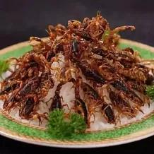 云南美食之虫子（图片可能不适慎入）