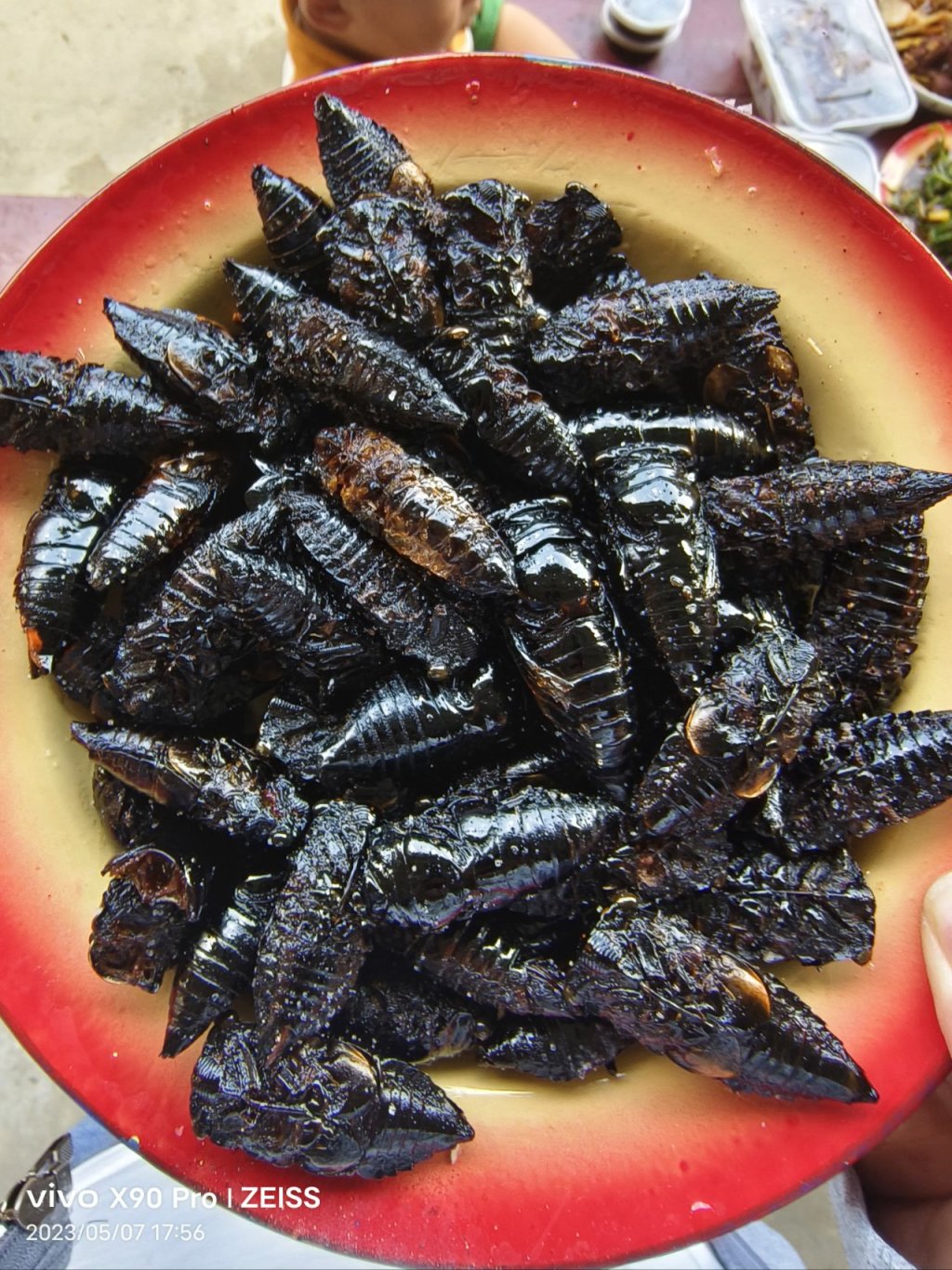 云南美食之虫子（图片可能不适慎入）