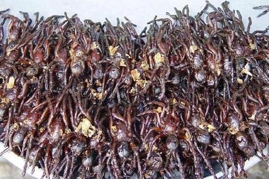 云南美食之虫子（图片可能不适慎入）