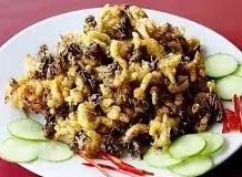 云南美食之虫子（图片可能不适慎入）