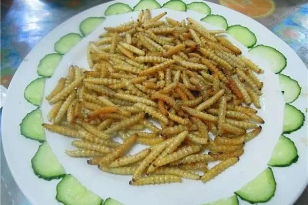 云南美食之虫子（图片可能不适慎入）