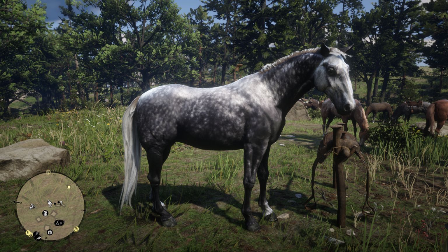 【荒野大镖客：救赎2】[马匹]年轻人的第一匹银斑但是匈牙利混种马-第7张