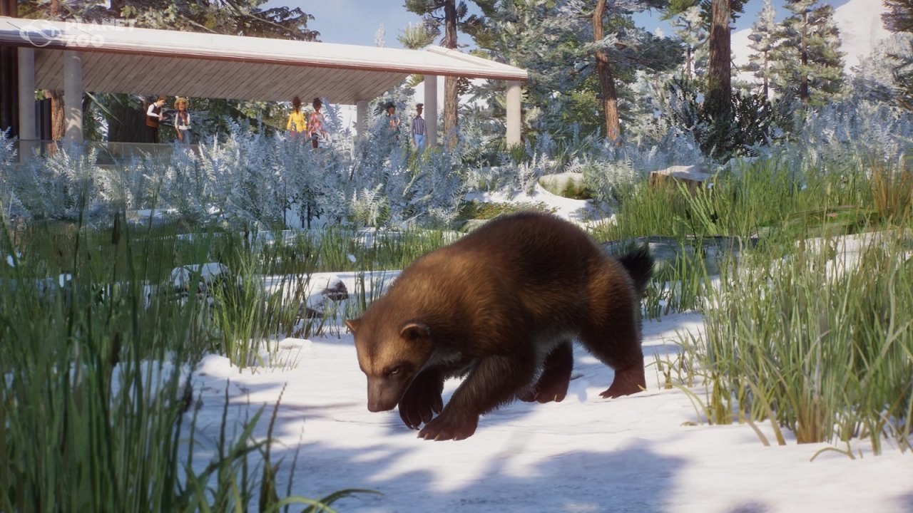 《动物园之星》新DLC欧亚动物包 1.16免费更新同步推出-第1张
