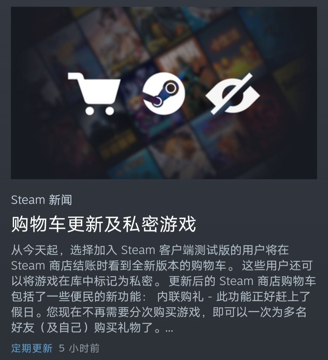 【PC游戏】光明正大玩！Steam购物车更新及私密游戏-第4张