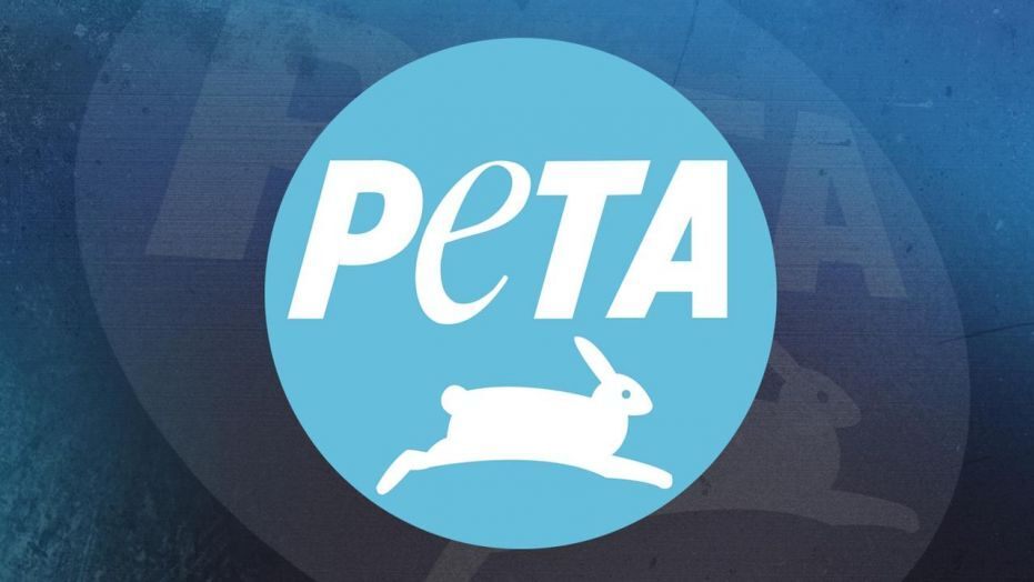 【PC游戏】热门《幻兽帕鲁》引起PETA组织关注，原因是游戏机制涉嫌虐待动物-第0张