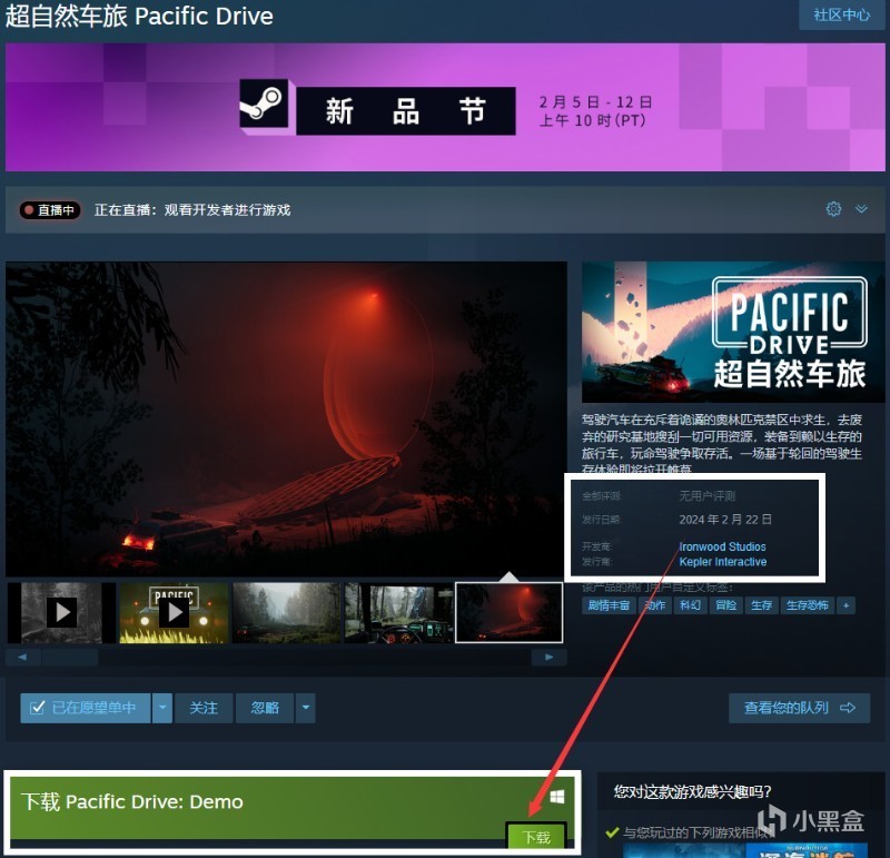 【PC游戏】投票Steam新品节第二天推荐；龙之信条2职业；最终幻想7重生试玩前瞻-第3张