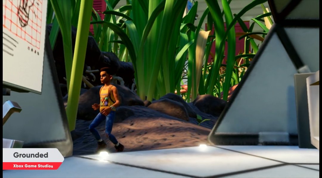 任天堂直面会，《幻想生活》定档！《刀剑神域》重磅首秀！