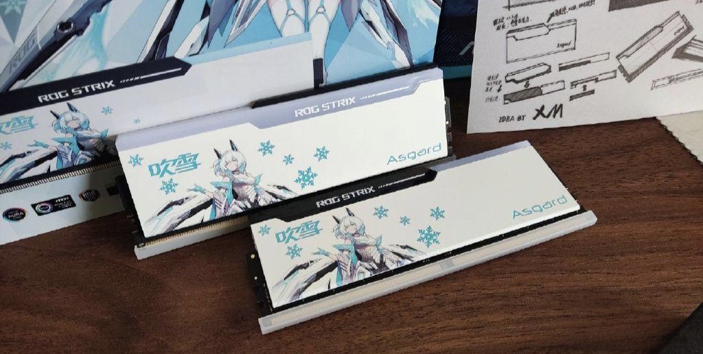 【球盟会】开学季，让我教你DDR5内存条如何挑选