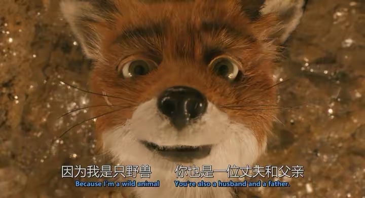 难看的电影千篇一律，好看的电影万里挑一《精品电影推荐》