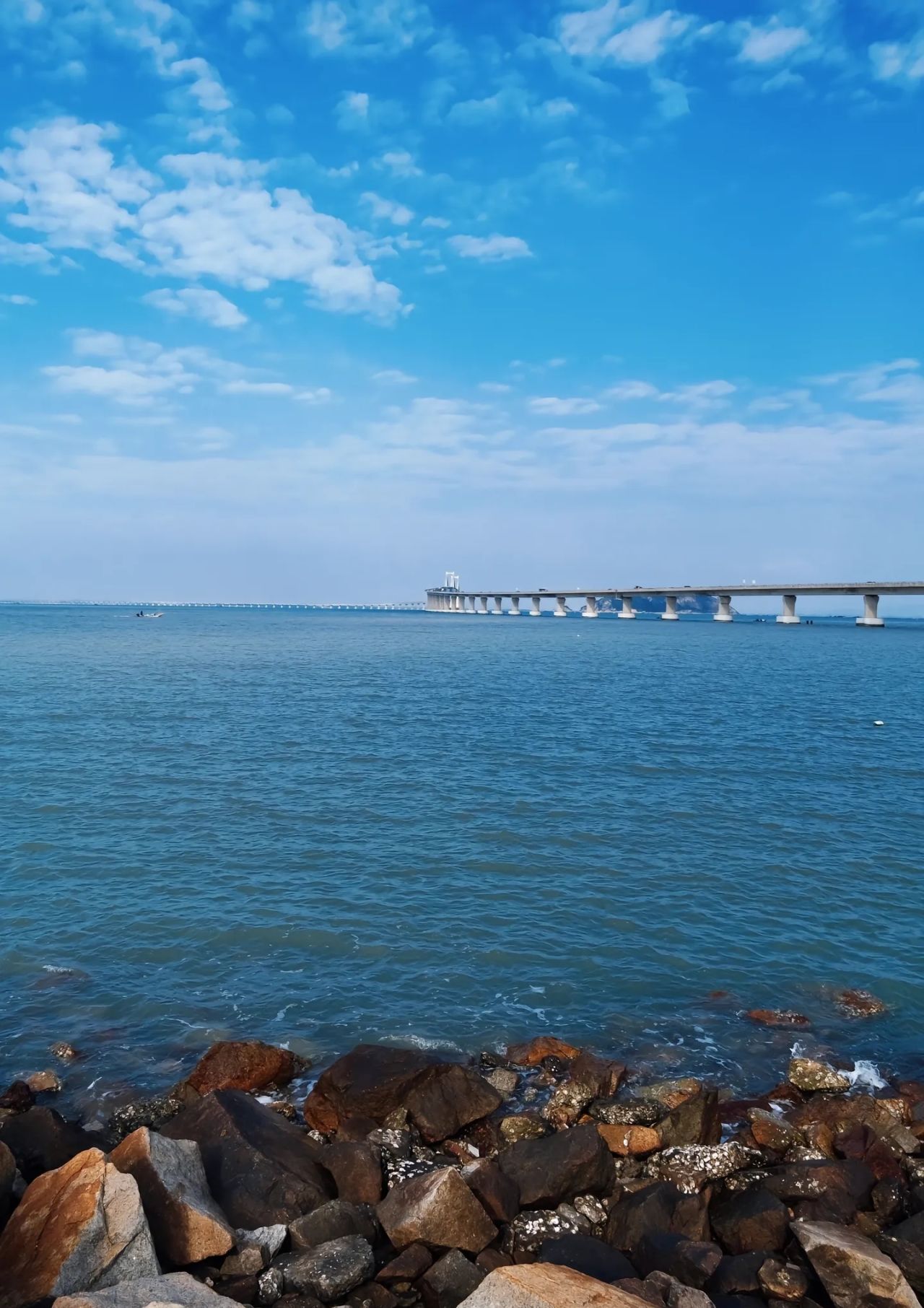 【沙雕日常】南澳島大危機，一隻頭羊引起的慘案-第1張