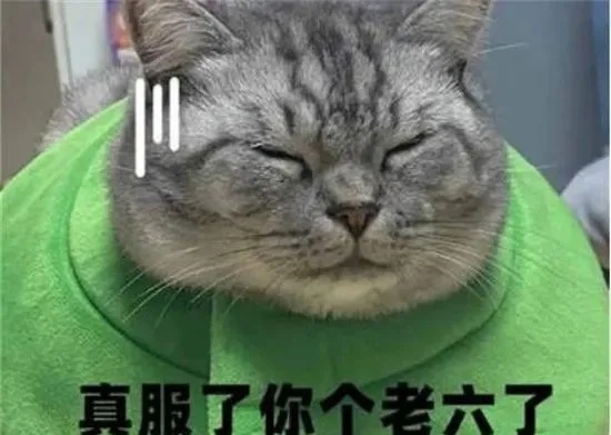 游戏梗指南：老6与自由人的区别！