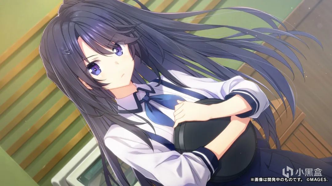 【NS每日新闻】任天堂官宣确认新机；秋之回忆新作详情公布