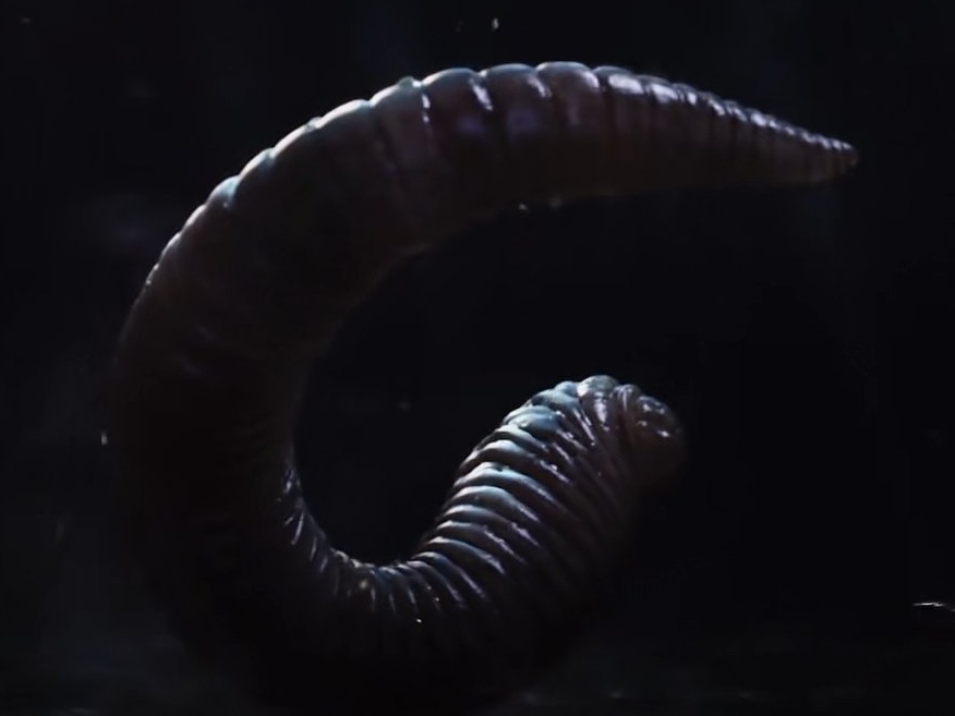 盘点一些丧尸或者类丧尸的传播途径以及部分解决方法