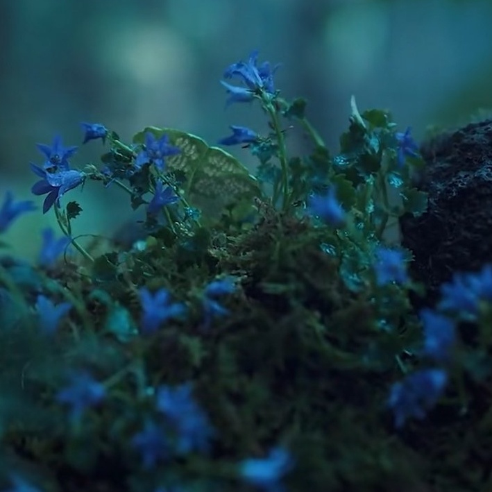 盘点一些丧尸或者类丧尸的传播途径以及部分解决方法