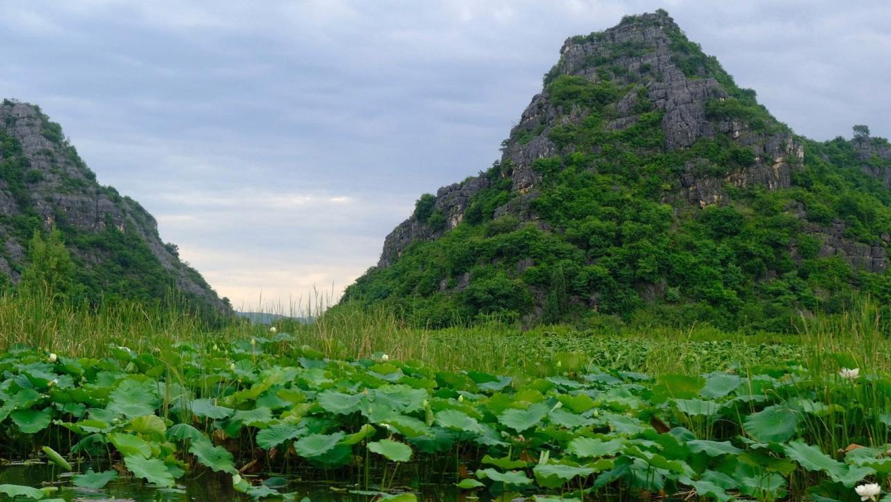 投票系统化的讲一讲旅行避坑「万物入坑指南 | 旅行篇1」-第1张