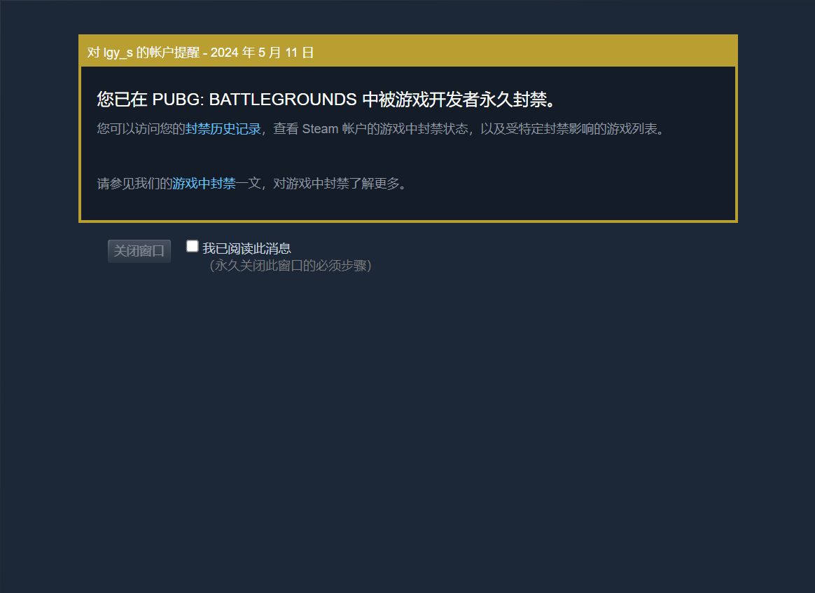 感谢你的陪伴：PUBG-第0张