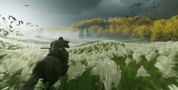 你所不知道的关于对马岛的故事，决定命运的国境之岛