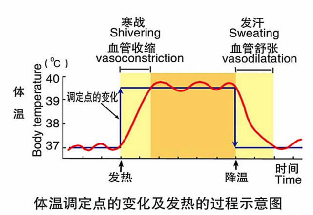 為什麼不同的人對空調溫度有不同要求呢？-第1張