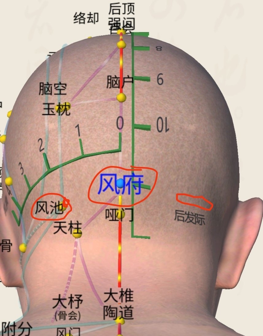 鼻塞流涕打噴嚏？日常感冒的處理