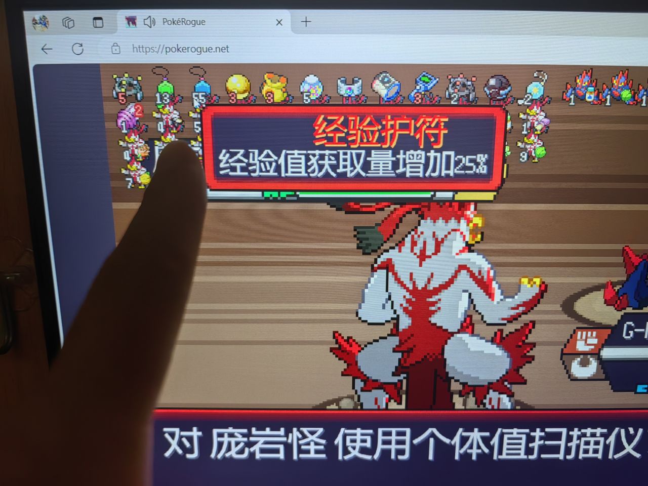 宝可梦肉鸽的一些道具！（ps:我的帅熊）-第2张