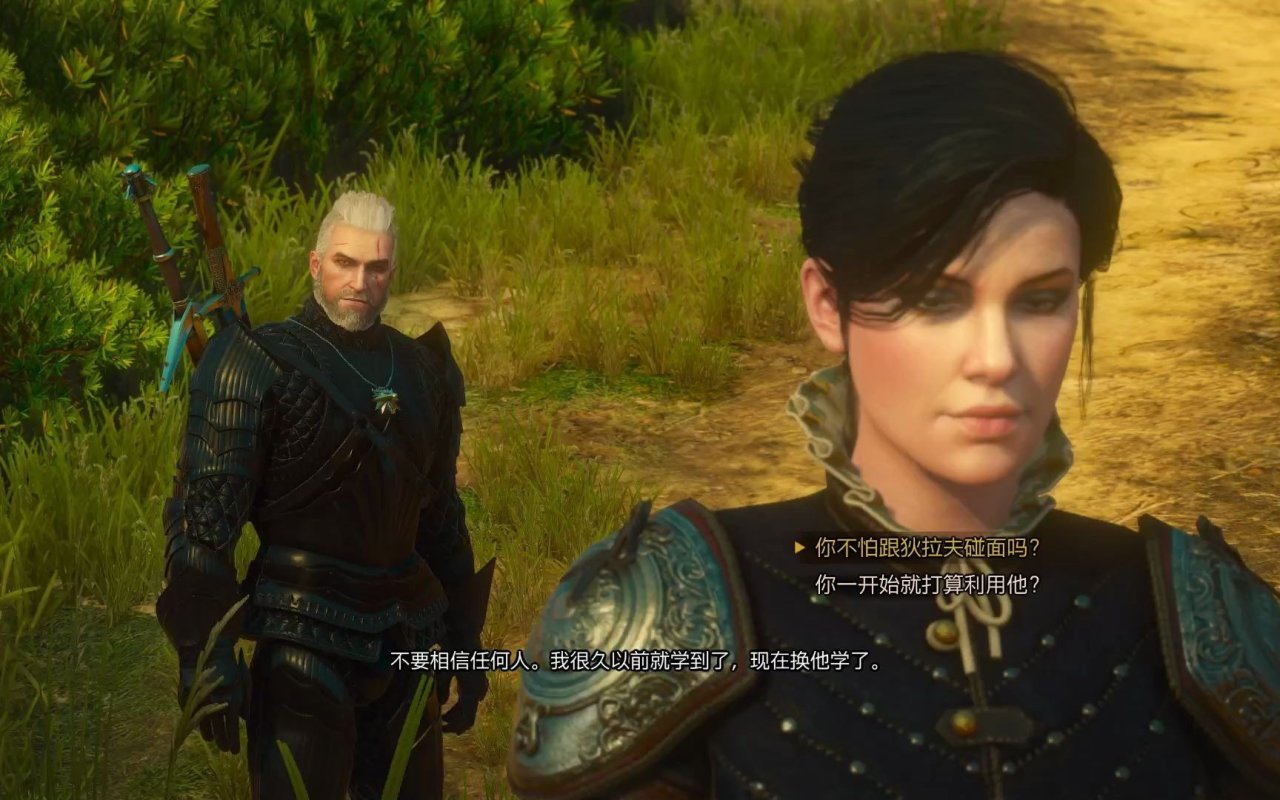 【球盟会】我玩巫师三就是为了这七个女人