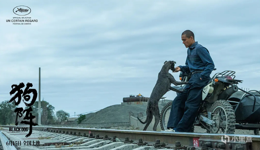 戛納電影節獲獎！管虎導演，彭于晏主演，一個人和一條狗的故事？-第2張