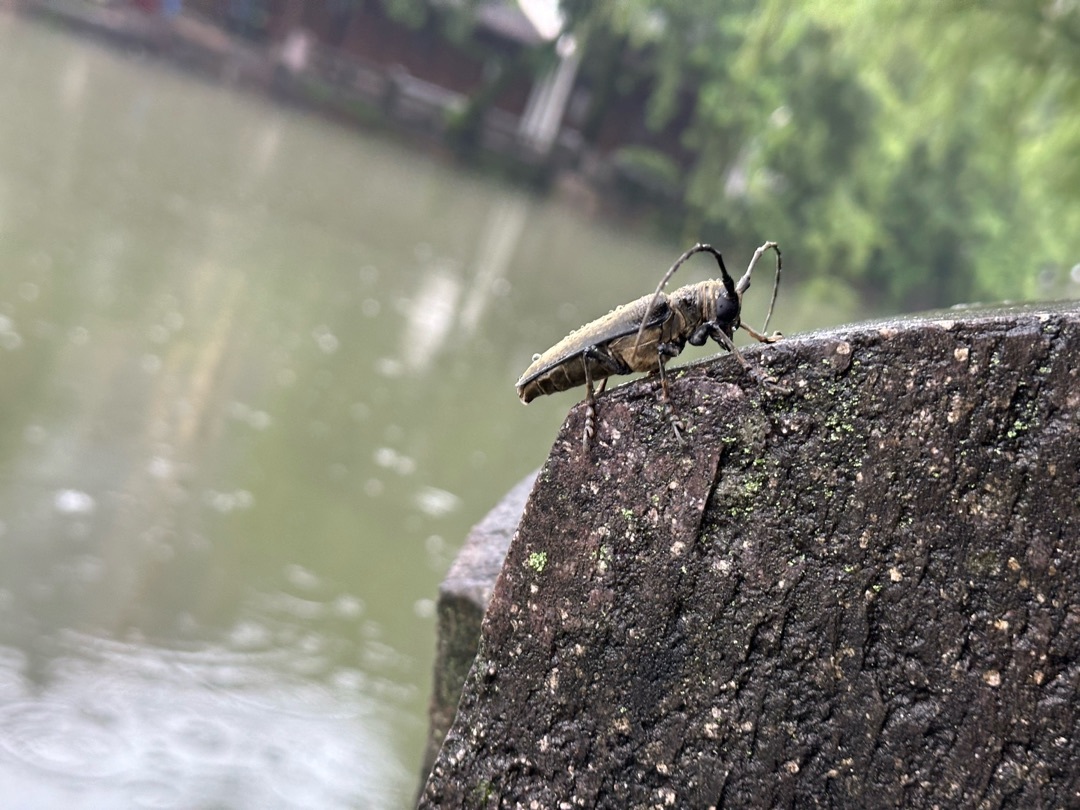 山西高考生畢業後在杭州的故事（長期更兩個月）-第2張